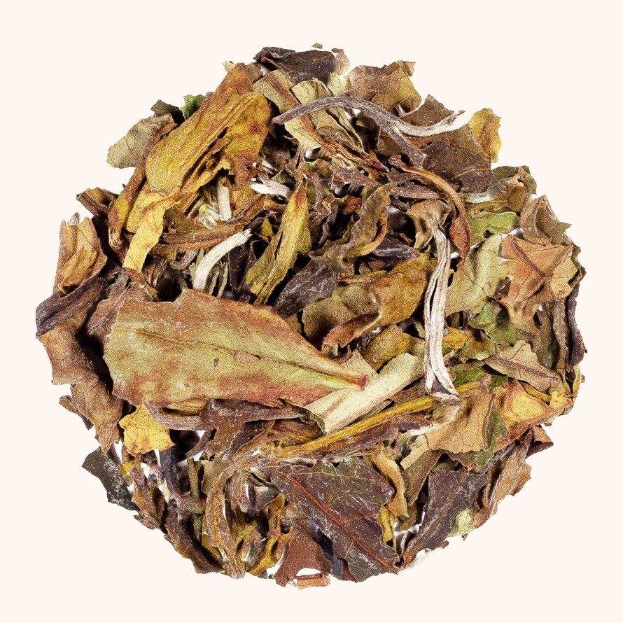 Tea Shop Made Of Tea Loose Leaf | Organic Bai Mudan White Tea