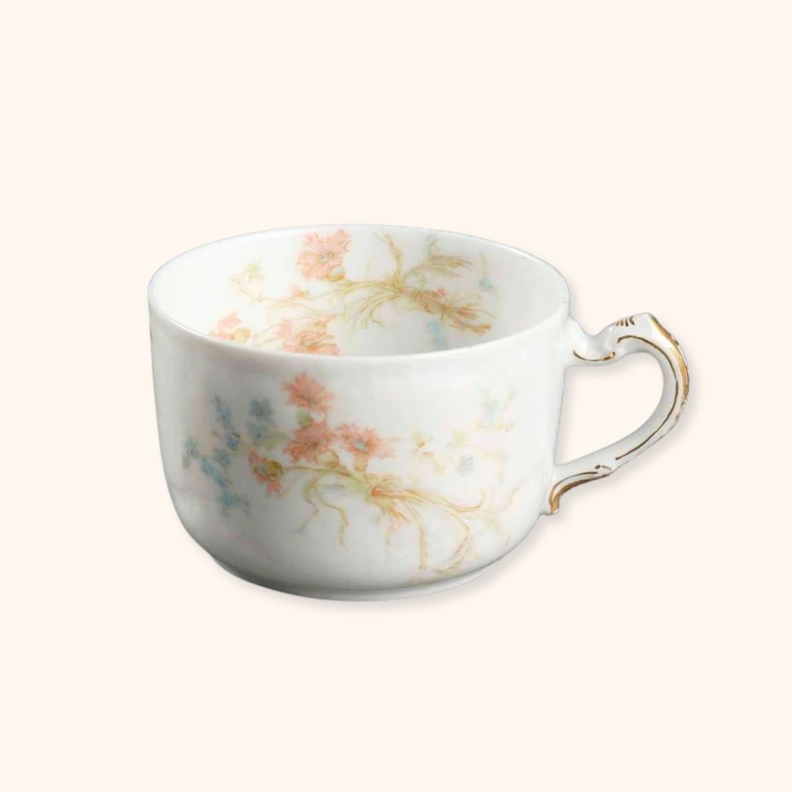 Teaware Haviland & Co | Antique 1895 The St. Lazare Autumn Leaves & Flowers Teacup