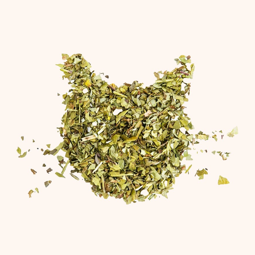 Tea Shop Tea Kitten Loose Leaf | Minty Mojito Mate