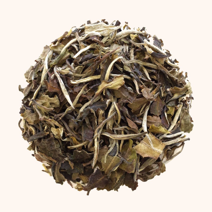 Tea Shop Tea Squared White | White Peony - Pai Mu Tan