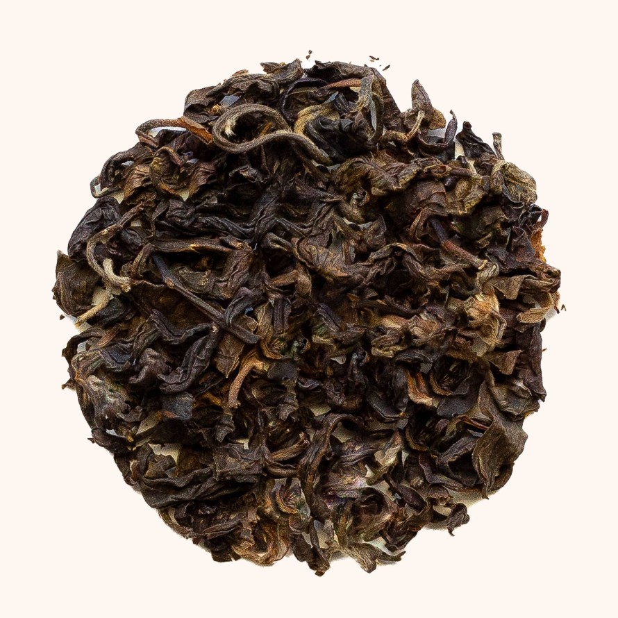 Tea Shop Monteaco Loose Leaf | Jungle Green