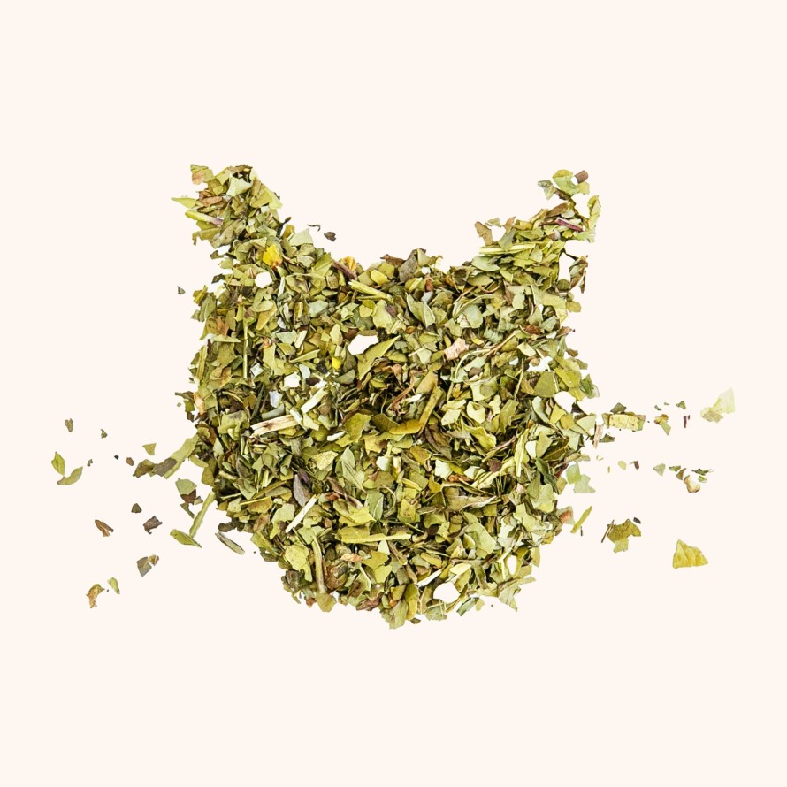 Tea Shop Tea Kitten Yerba Mate | Minty Mojito Mate